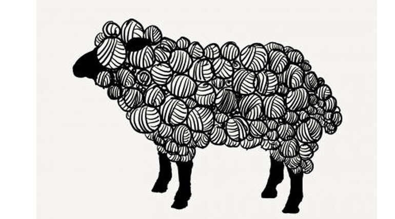 sheep artwork